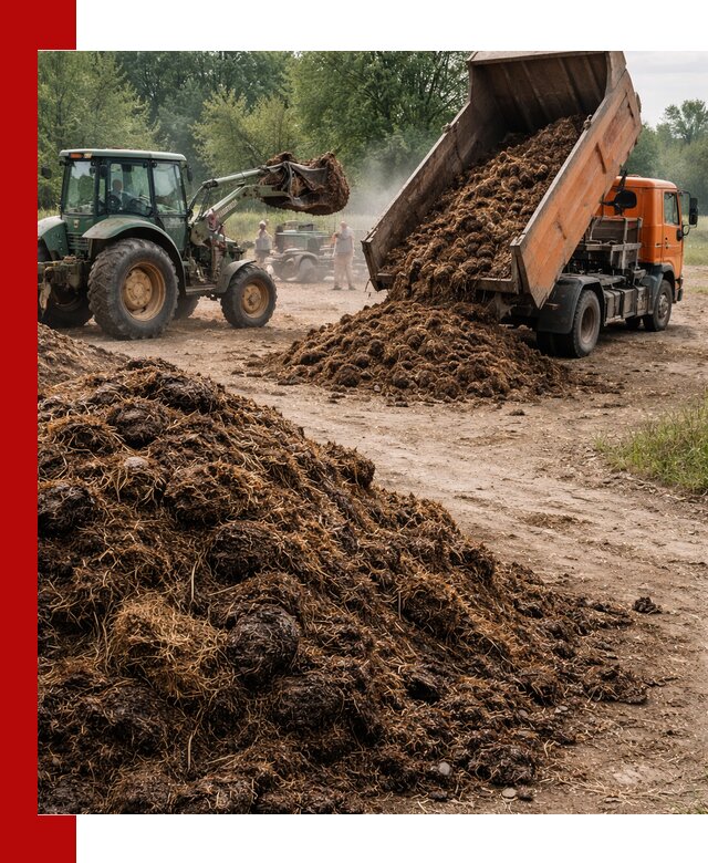 Доставка навоза самосвалами в Муравленке для сельхозпотребностей