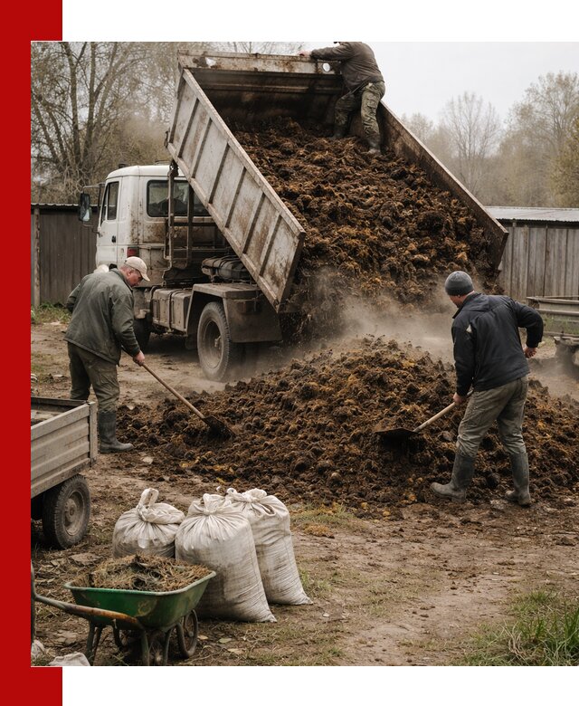Доставка коровьего навоза самосвалом в Муравленке